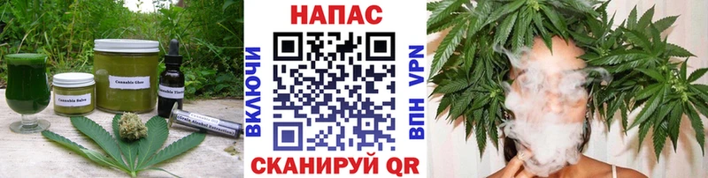 Canna-Cookies марихуана  купить закладку  Удомля 