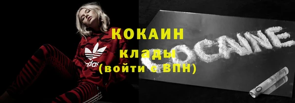 крисы Медвежьегорск
