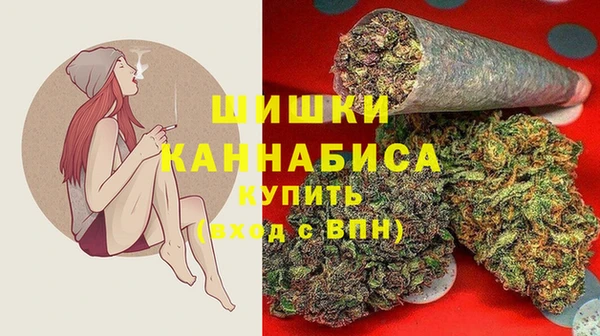 крисы Медвежьегорск