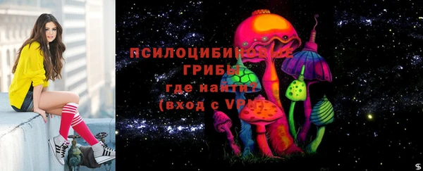 ПСИЛОЦИБИНОВЫЕ ГРИБЫ Медногорск