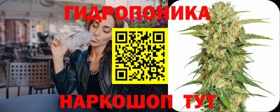 молекула духа Дубна