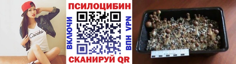 kraken рабочий сайт  дарнет шоп  Удомля  Псилоцибиновые грибы Cubensis 