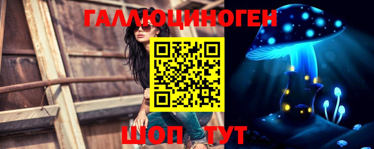 Псилоцибиновые грибы Cubensis  Удомля 